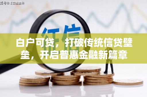 无极白户可贷，打破传统信贷壁垒，开启普惠金融新篇章