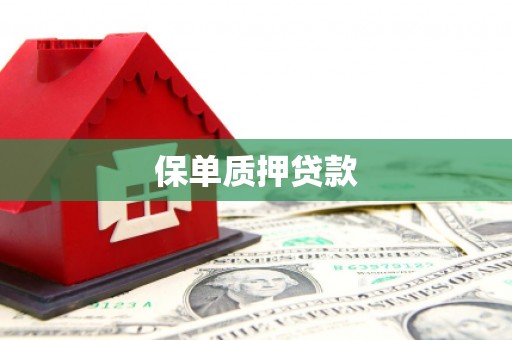 无极保单质押贷款