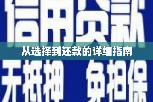 无极从选择到还款的详细指南