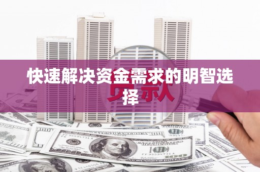 无极快速解决资金需求的明智选择