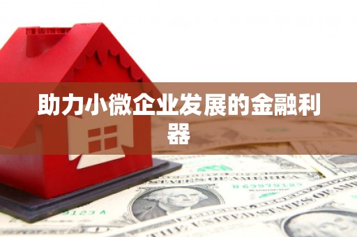 无极助力小微企业发展的金融利器
