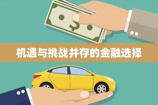 无极机遇与挑战并存的金融选择