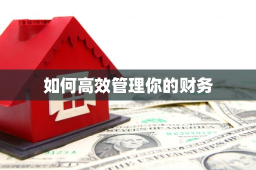 无极如何高效管理你的财务