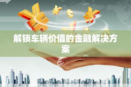 无极解锁车辆价值的金融解决方案