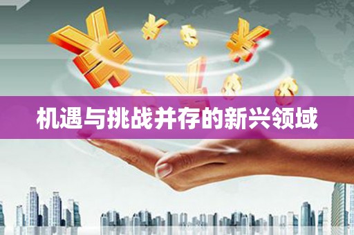 无极机遇与挑战并存的新兴领域