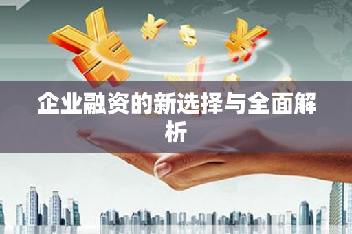 无极企业融资的新选择与全面解析