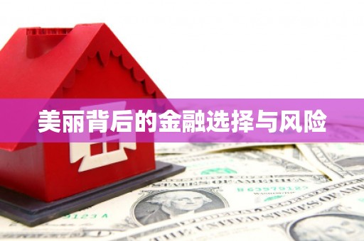 无极美丽背后的金融选择与风险