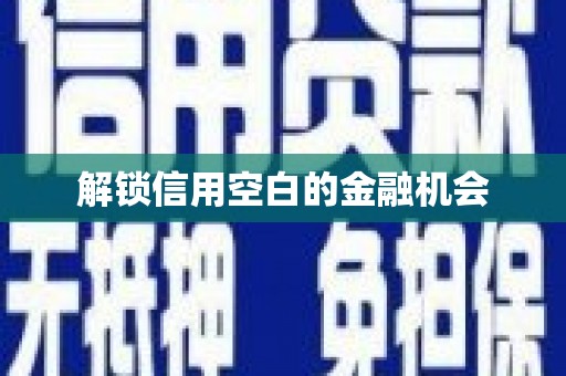 无极解锁信用空白的金融机会