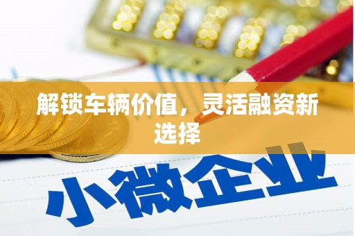 无极解锁车辆价值，灵活融资新选择