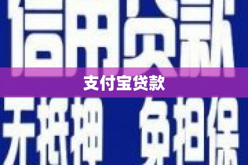 无极支付宝贷款