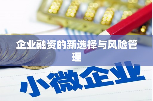 无极企业融资的新选择与风险管理