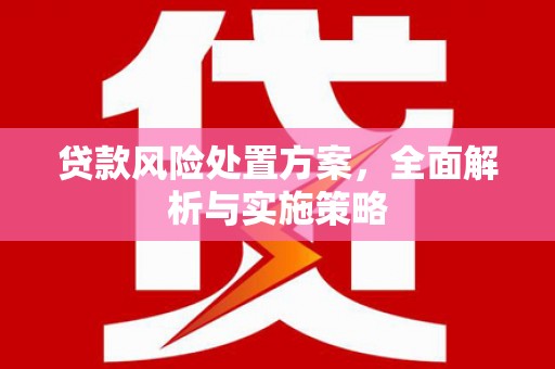 无极贷款风险处置方案，全面解析与实施策略