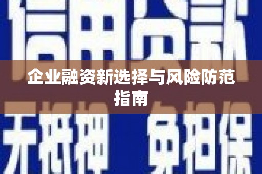 无极企业融资新选择与风险防范指南