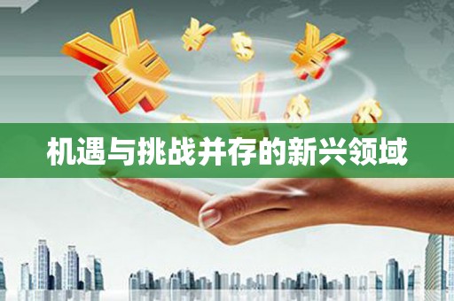 无极机遇与挑战并存的新兴领域