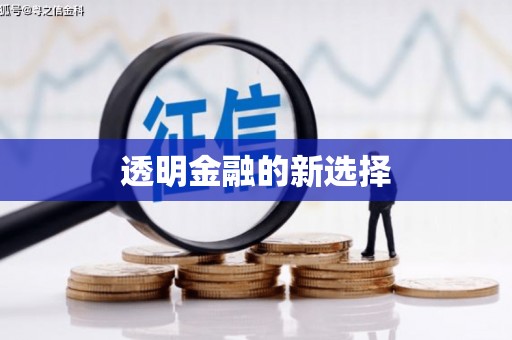 无极透明金融的新选择