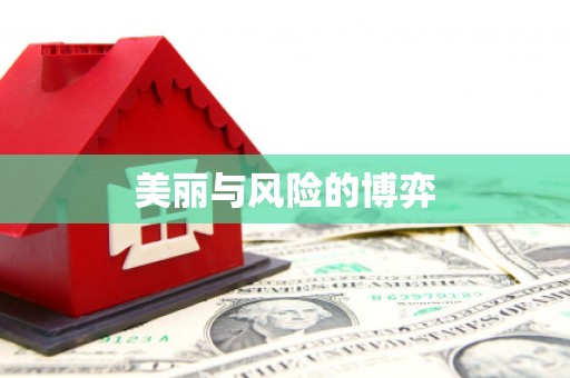 无极美丽与风险的博弈
