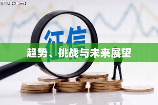 无极趋势、挑战与未来展望