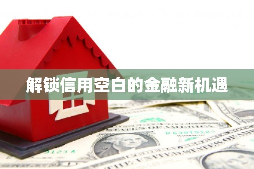 无极解锁信用空白的金融新机遇