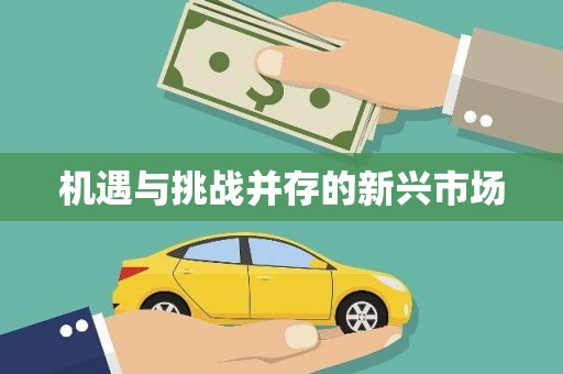 无极机遇与挑战并存的新兴市场