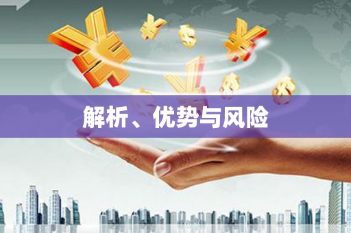 无极解析、优势与风险