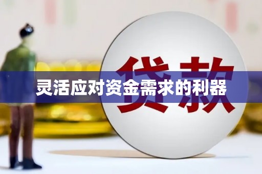无极灵活应对资金需求的利器