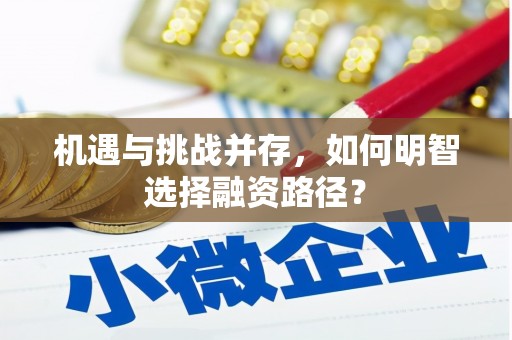 无极机遇与挑战并存，如何明智选择融资路径？