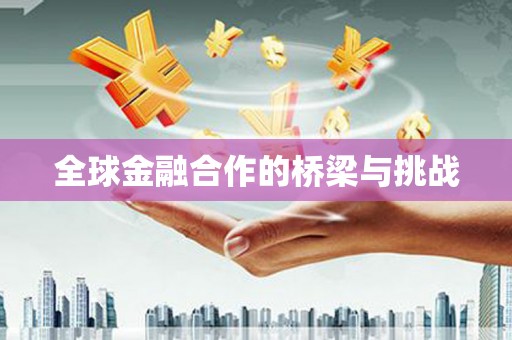 无极全球金融合作的桥梁与挑战
