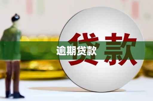 无极逾期贷款