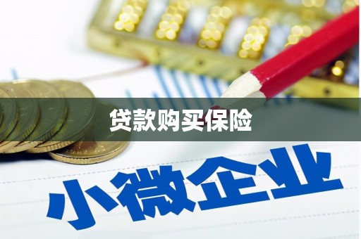 无极贷款购买保险