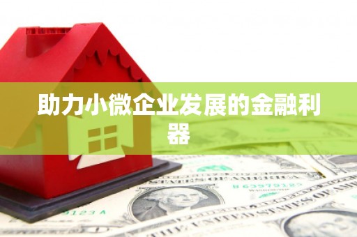 无极助力小微企业发展的金融利器