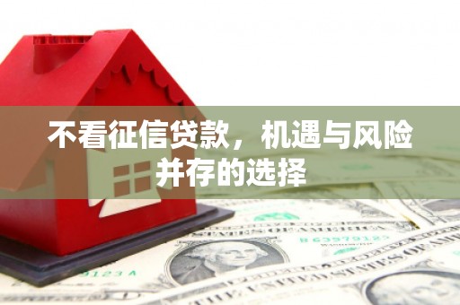 无极不看征信贷款，机遇与风险并存的选择