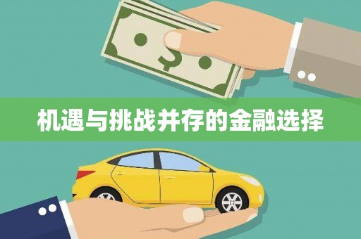 无极机遇与挑战并存的金融选择