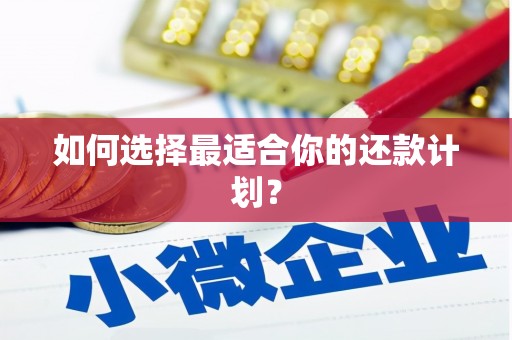 无极如何选择最适合你的还款计划？