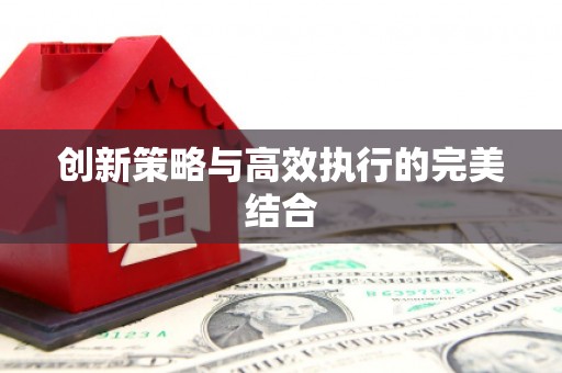 无极创新策略与高效执行的完美结合