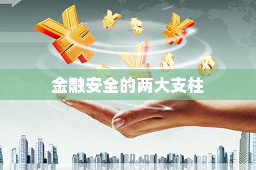 无极金融安全的两大支柱
