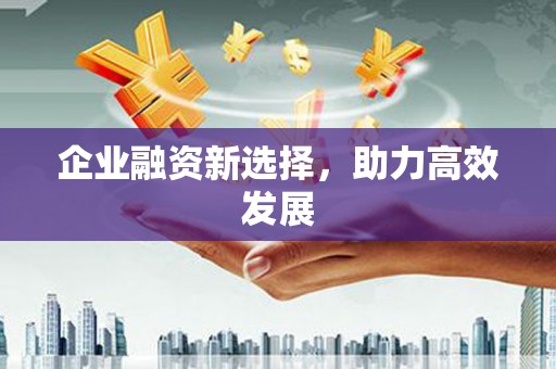 无极企业融资新选择，助力高效发展