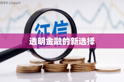 无极透明金融的新选择