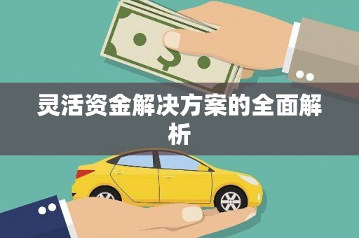 无极灵活资金解决方案的全面解析