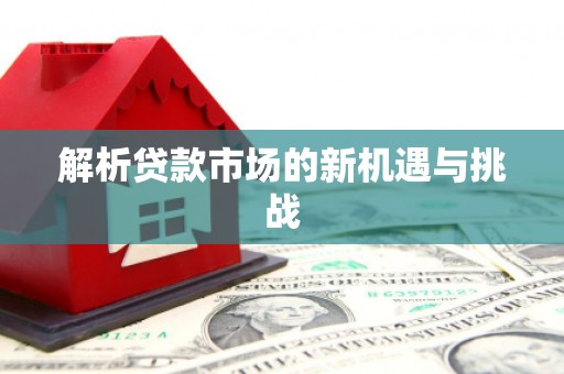 无极解析贷款市场的新机遇与挑战