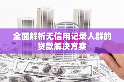 无极全面解析无信用记录人群的贷款解决方案