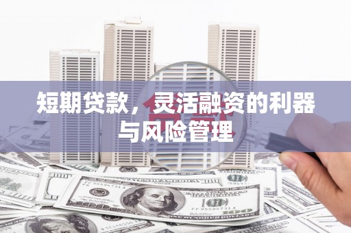 无极短期贷款，灵活融资的利器与风险管理