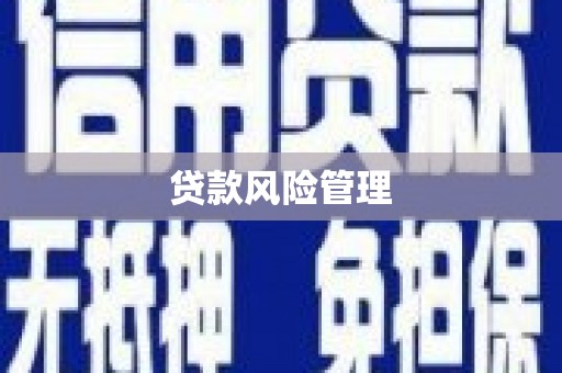 无极贷款风险管理