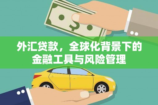 无极外汇贷款，全球化背景下的金融工具与风险管理