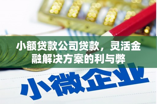 无极小额贷款公司贷款，灵活金融解决方案的利与弊