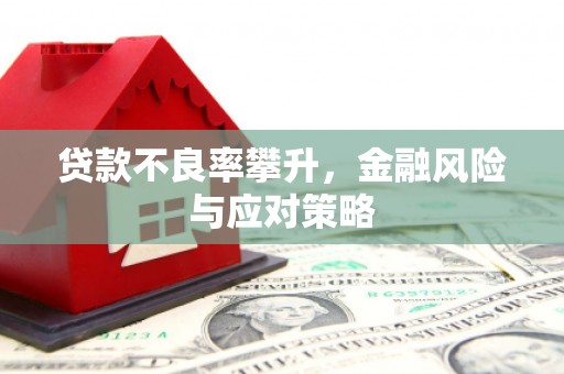 无极贷款不良率攀升，金融风险与应对策略