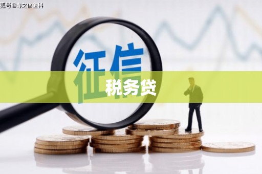 无极税务贷